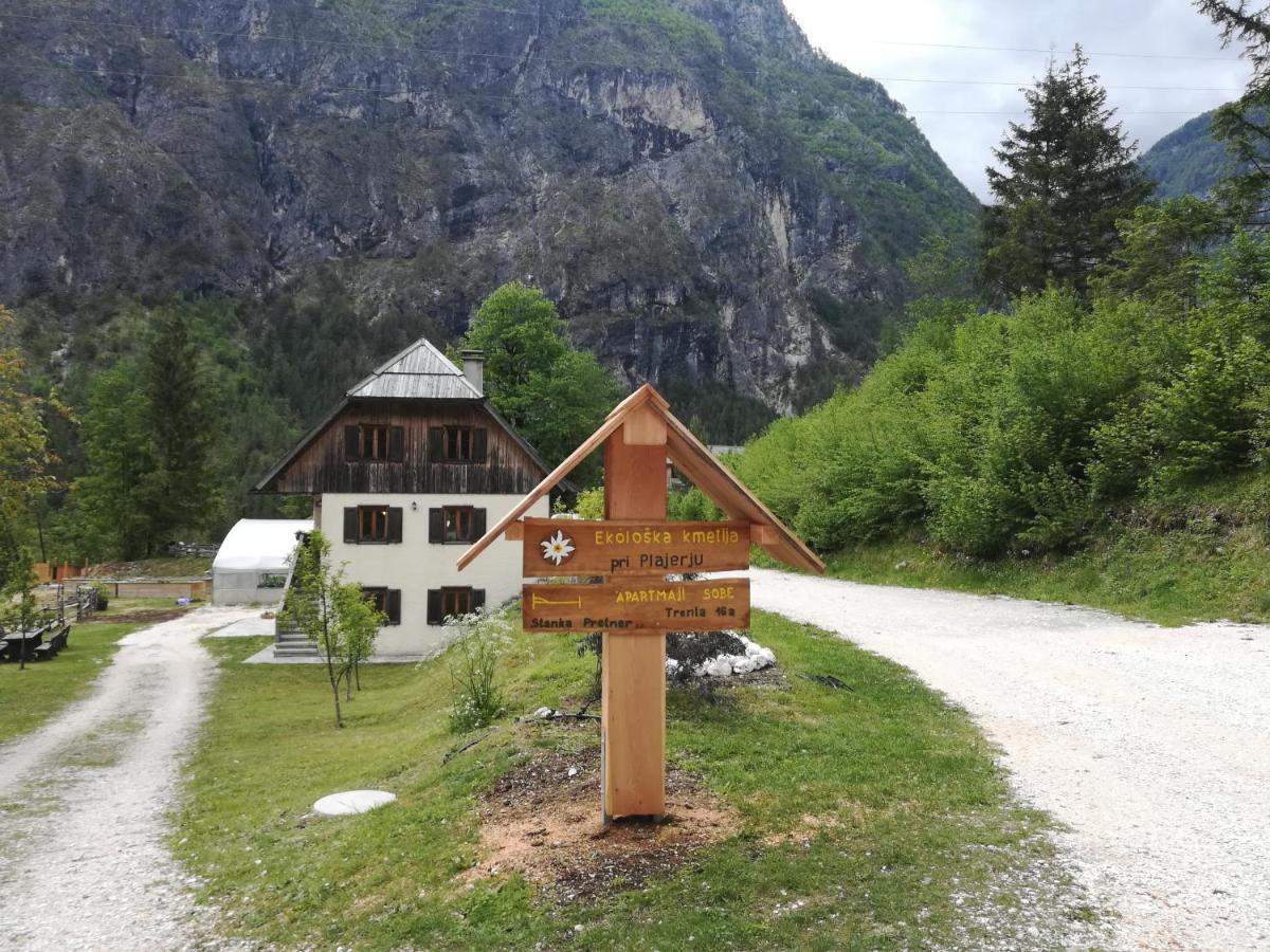 特伦塔Organic Tourist Farm Pri Plajerju公寓 外观 照片