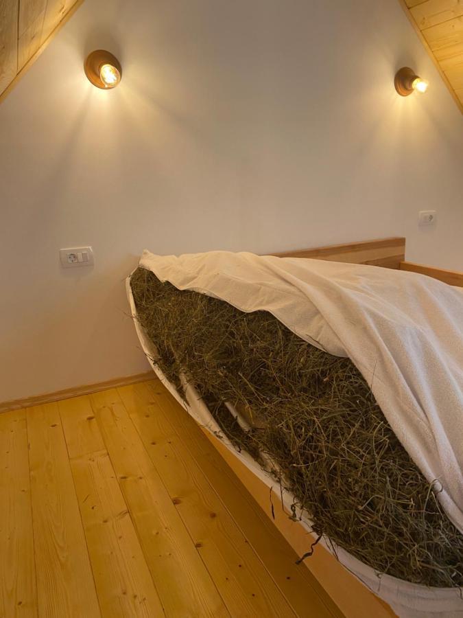 特伦塔Organic Tourist Farm Pri Plajerju公寓 外观 照片