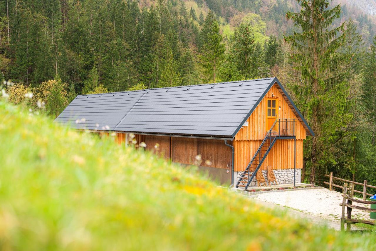 特伦塔Organic Tourist Farm Pri Plajerju公寓 外观 照片